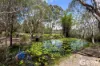 43 Rutch Road, Doonan, Qld 4562-Image