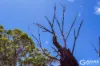 43 Rutch Road, Doonan, Qld 4562-Image