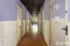 43 Rutch Road, Doonan, Qld 4562-Image