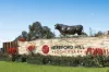 43 Springfield Drive, Lochinvar, NSW 2321-Image