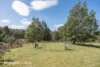 433 Harwoods Road, Castle Forbes Bay, Tas 7116-Image