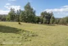 433 Harwoods Road, Castle Forbes Bay, Tas 7116-Image