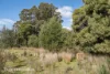 433 Harwoods Road, Castle Forbes Bay, Tas 7116-Image