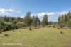 433 Harwoods Road, Castle Forbes Bay, Tas 7116-Image