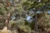 433 Harwoods Road, Castle Forbes Bay, Tas 7116-Image