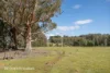 433 Harwoods Road, Castle Forbes Bay, Tas 7116-Image