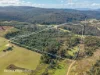 433 Harwoods Road, Castle Forbes Bay, Tas 7116-Image