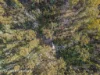 433 Harwoods Road, Castle Forbes Bay, Tas 7116-Image