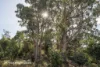 433 Harwoods Road, Castle Forbes Bay, Tas 7116-Image
