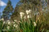 433 Harwoods Road, Castle Forbes Bay, Tas 7116-Image