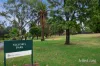 433 High Street, Kew, Vic 3101-Image