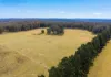 4342 Braidwood Road, Sassafras, NSW 2622-Image