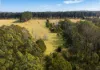 4342 Braidwood Road, Sassafras, NSW 2622-Image
