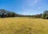 4342 Braidwood Road, Sassafras, NSW 2622-Image
