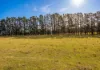 4342 Braidwood Road, Sassafras, NSW 2622-Image
