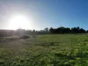 44 Barrett Heights, Denmark, WA 6333-Image