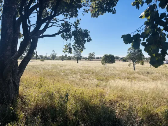 44 Corfe Road, Roma, Qld 4455