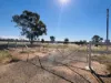 44 Corfe Road, Roma, Qld 4455-Image
