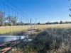 44 Corfe Road, Roma, Qld 4455-Image