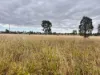 44 Corfe Road, Roma, Qld 4455-Image