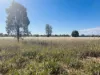 44 Corfe Road, Roma, Qld 4455-Image