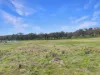 44 Dowling Drive Murringo, via, Young, NSW 2594-Image