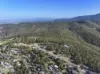 44 Hillcrest Road, Tolmans Hill, Tas 7007-Image
