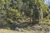 44 Hillcrest Road, Tolmans Hill, Tas 7007-Image
