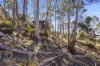 44 Hillcrest Road, Tolmans Hill, Tas 7007-Image