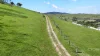 44 Woodgates Road, Buchan, Vic 3885-Image