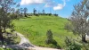 44 Woodgates Road, Buchan, Vic 3885-Image