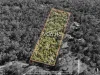 440-450 Camp Cable Road, Jimboomba, Qld 4280