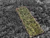 440-450 Camp Cable Road, Jimboomba, Qld 4280-Image