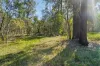 440-450 Camp Cable Road, Jimboomba, Qld 4280-Image