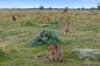445 Axedale-Kimbolton Road, Eppalock, Vic 3551-Image