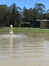 445 Myra Road, Tara, Qld 4421-Image