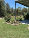445 Myra Road, Tara, Qld 4421-Image