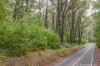 445 Old Warburton Road, Warburton, Vic 3799-Image