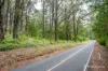 445 Old Warburton Road, Warburton, Vic 3799-Image