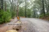 445 Old Warburton Road, Warburton, Vic 3799-Image
