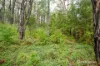 445 Old Warburton Road, Warburton, Vic 3799-Image