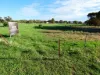 45 Bell Street, Beulah, Vic 3395