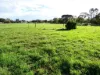 45 Bell Street, Beulah, Vic 3395-Image