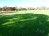 45 Bell Street, Beulah, Vic 3395-Image