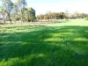 45 Bell Street, Beulah, Vic 3395-Image