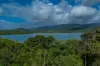 45 Beth Court, Cannonvale, Qld 4802-Image