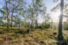 45 Blyth Parade, Great Bay, Tas 7150-Image