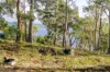 45 Blyth Parade, Great Bay, Tas 7150-Image