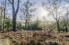 45 Blyth Parade, Great Bay, Tas 7150-Image