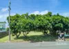 45 Golf Links Road, Bowen, Qld 4805-Image